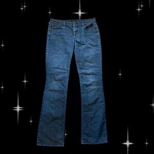 Ann Taylor Dark Blue Flare Jeans